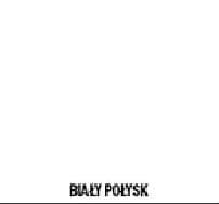 biały połysk.jpg
