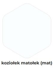 Koziołek Matołek.jpg