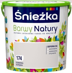 bn174.jpg