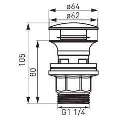 11.webp