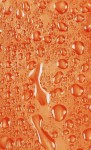 DUSCHY Water zasłona prysznicowa 180x200 pomarańczowa