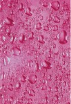 DUSCHY Water zasłona prysznicowa 180x200 wiśniowa