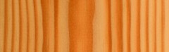 V05.jpg