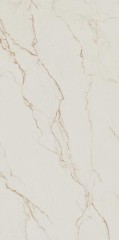 vesis gold 2.jpg