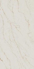 vesis gold 1.jpg