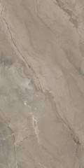 generous taupe1.jpg