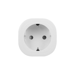 orn4.jpg