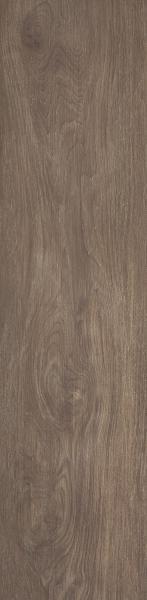 willow ochra 1.jpg
