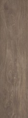willow ochra 1.jpg