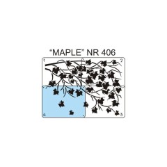 406.jpg