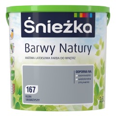 BN2500_167_Klon_srebrzysty.jpg