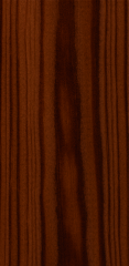 v07 sekwoja kalifornijska 2,5l.jpg